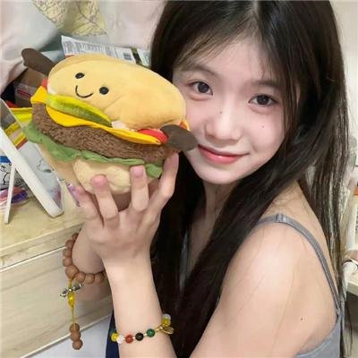 总统的分析